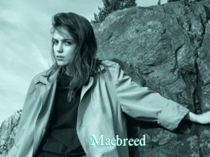Maebreed