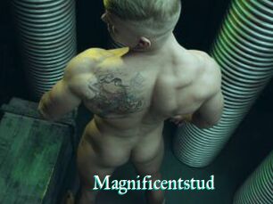 Magnificentstud