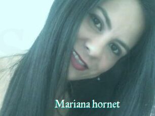 Mariana_hornet
