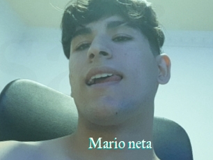 Mario_neta