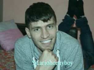 Mariohornyboy