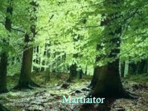 Martiaitor