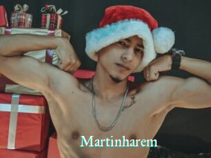 Martinharem