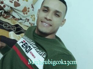 Matheubigcok23cm
