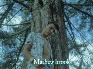 Mathew_brooks