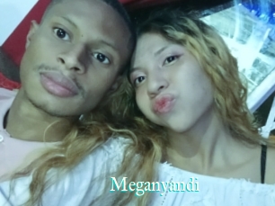Meganyandi