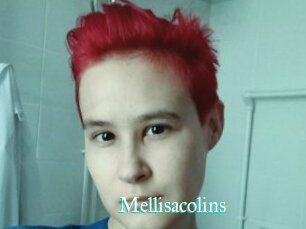 Mellisacolins