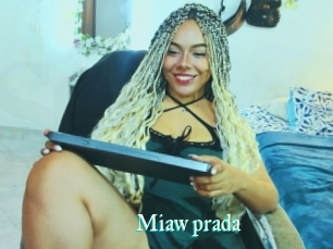 Miaw_prada