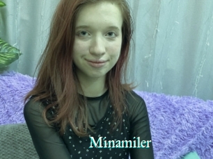 Minamiler
