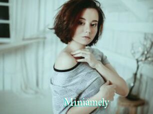Miniamely