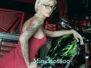 Minicat06800