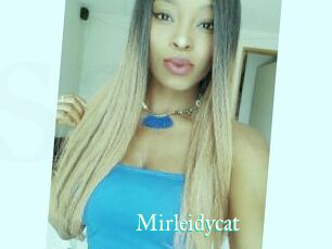 Mirleidycat