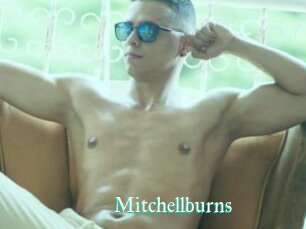 Mitchellburns