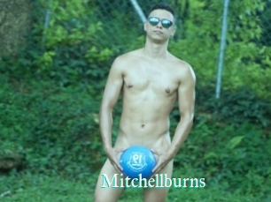 Mitchellburns