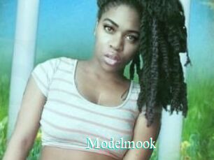 Modelmook