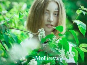Mollieevans