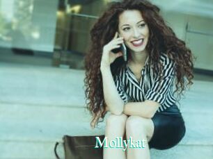 Mollykat