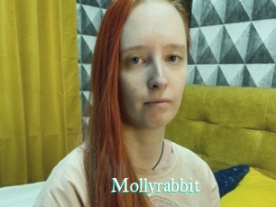 Mollyrabbit