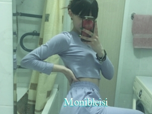 Monibleisi