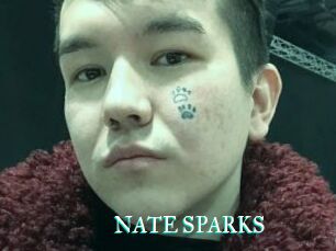 NATE_SPARKS