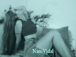 NaniVidal