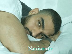 Narcisonefer