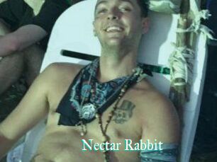 Nectar_Rabbit