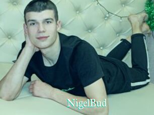 NigelBud