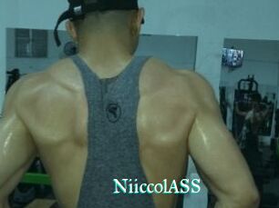 NiiccolASS