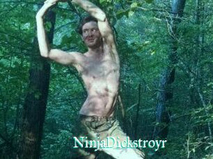 NinjaDickstroyr