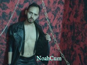NoahCum