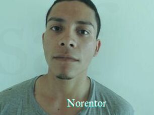 Noren_tor
