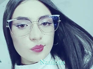 Namibms