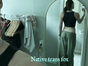 Native_trans_fox
