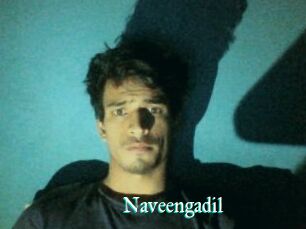Naveengadil