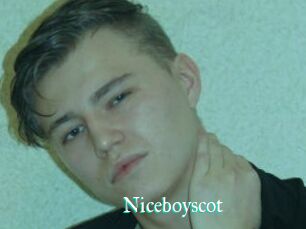 Niceboyscot
