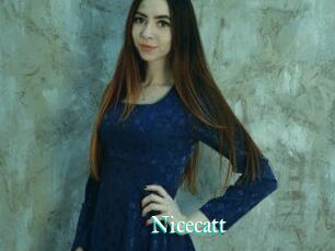 Nicecatt