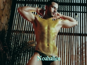 Noahallen