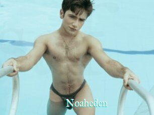 Noaheden