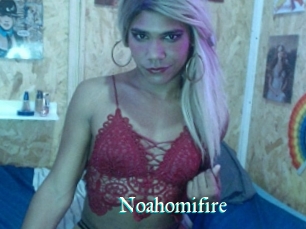 Noahomifire