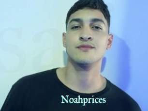 Noahprices