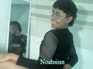 Noahsinn