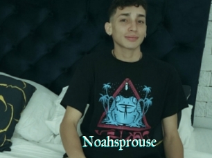 Noahsprouse