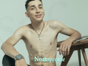 Noahsprouse