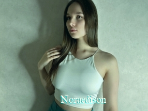 Noraedison