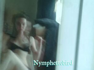 Nymphettebird