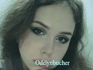 Odelynbucher