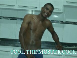 POOL_THE_MOSTER_COCK