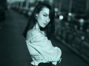 PaleDaisy