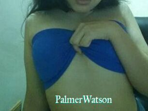 PalmerWatson